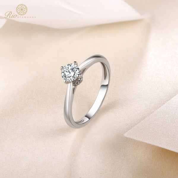 Nova Solitaire White Gold Diamond Engagement Ring Casing