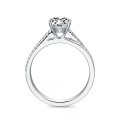 Tasha White Gold Diamond Engagement Ring Casing