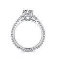 Delaine Solitaire White Gold Diamond Engagement Ring Casing