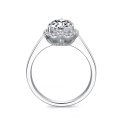 Avianne White Gold Diamond Engagement Ring Casing